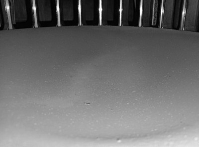 Piston crown